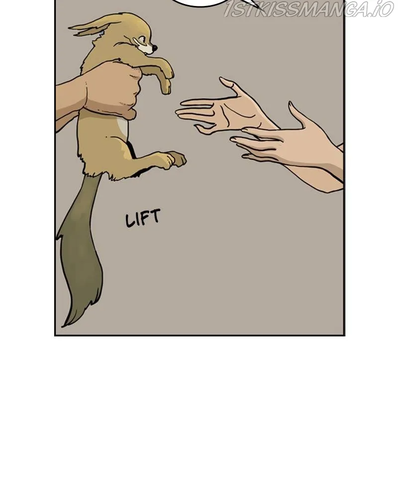Mage Again Chapter 27 Online - página 5
