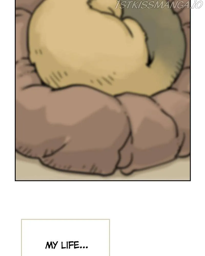 Mage Again Chapter 30 Online - página 13