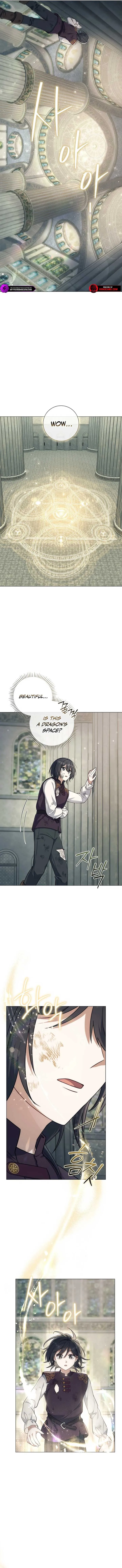 Magic Lord Chapter 4 Online - página 9