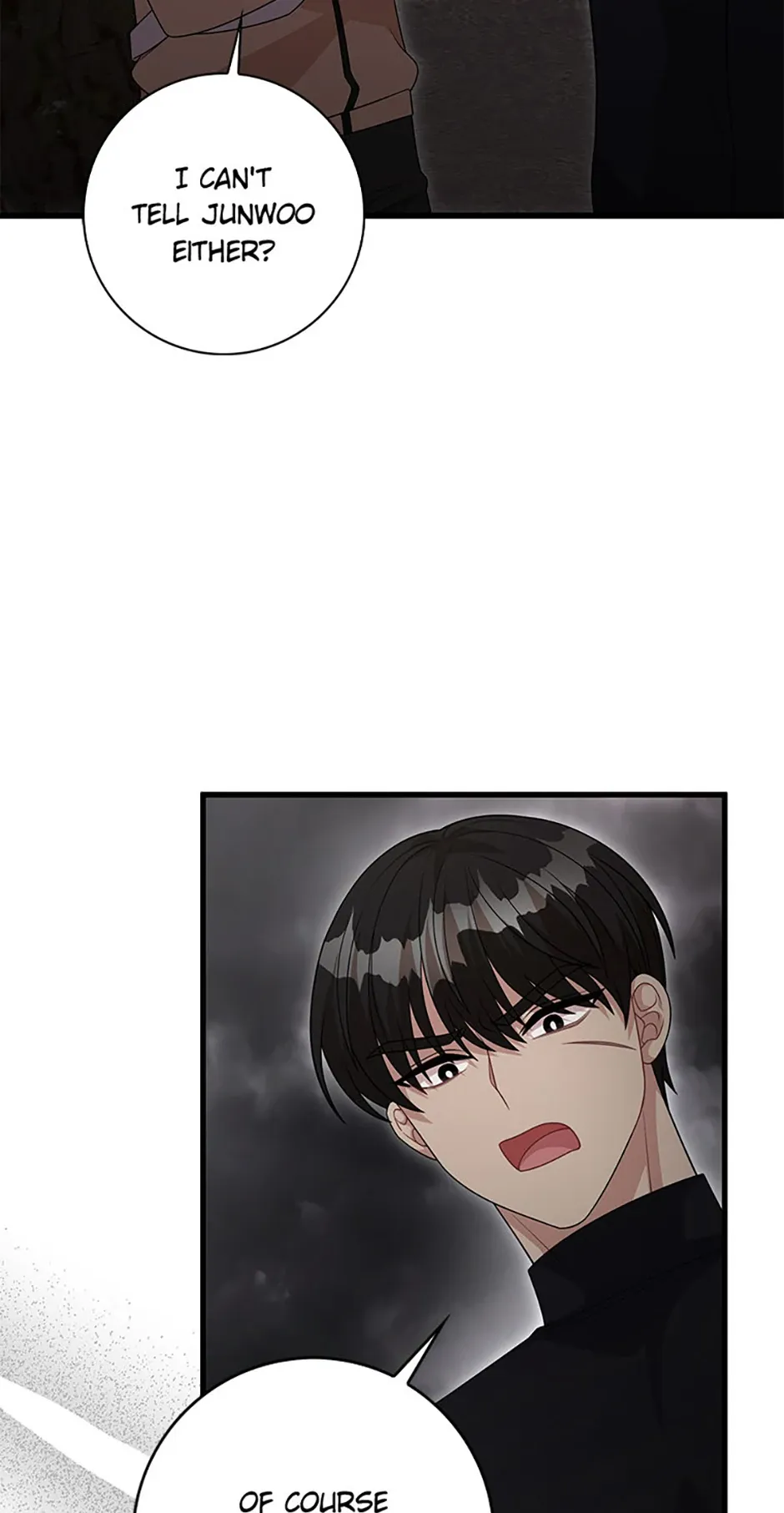 Male Lead Likes My Support! Chapter 38 Online - página 29