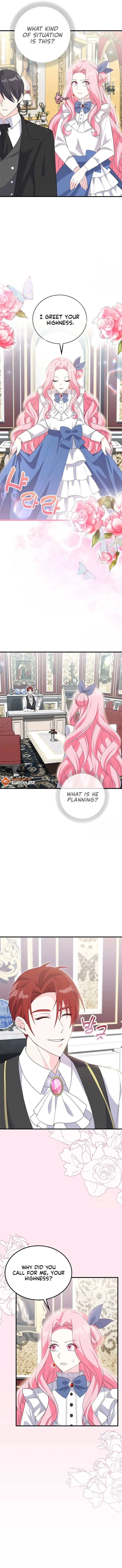 Male Lead, Stop Following Me Chapter 22 Online - página 3