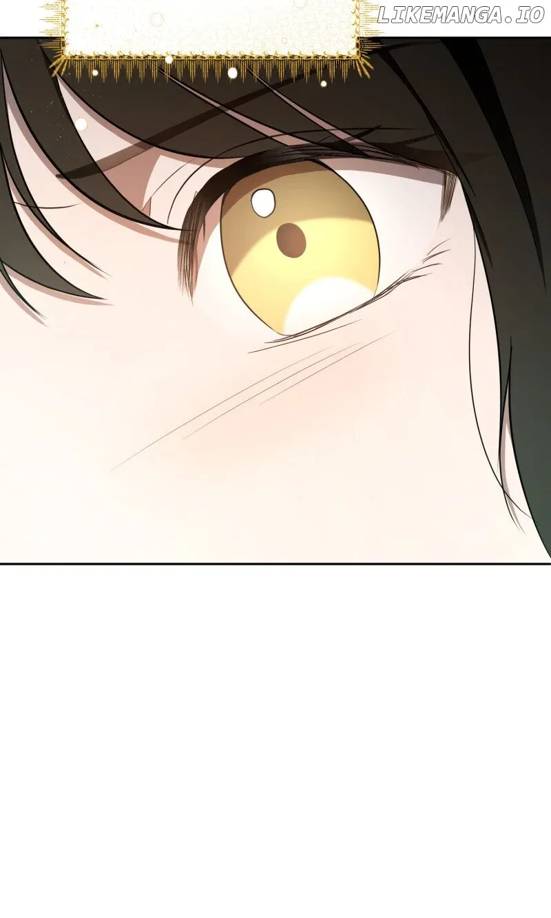 Marriage of Convenience to an Obsession Chapter 3 Online - página 20