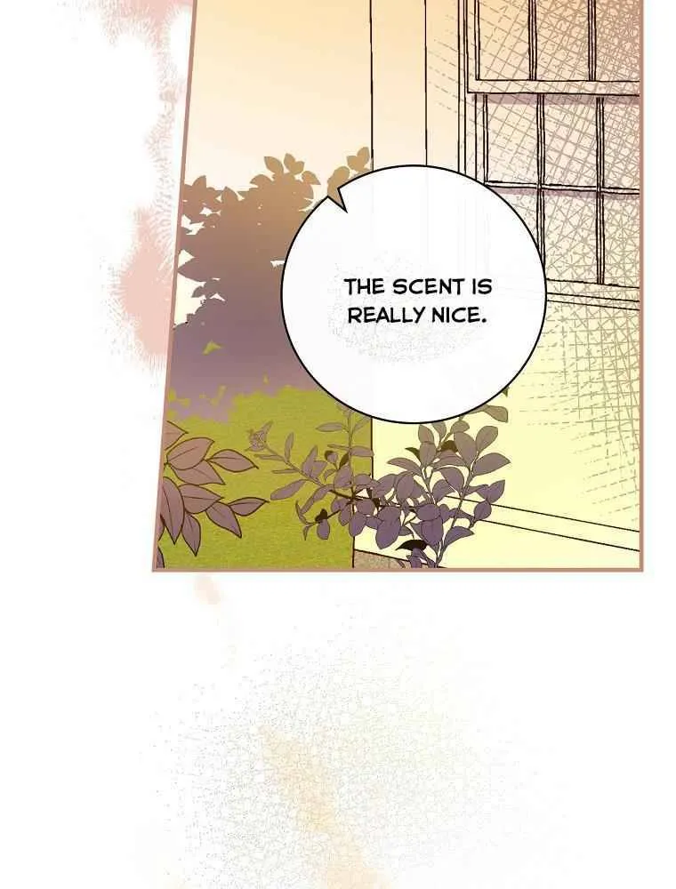 Melody of the Deadwood Chapter 11 Online - página 22