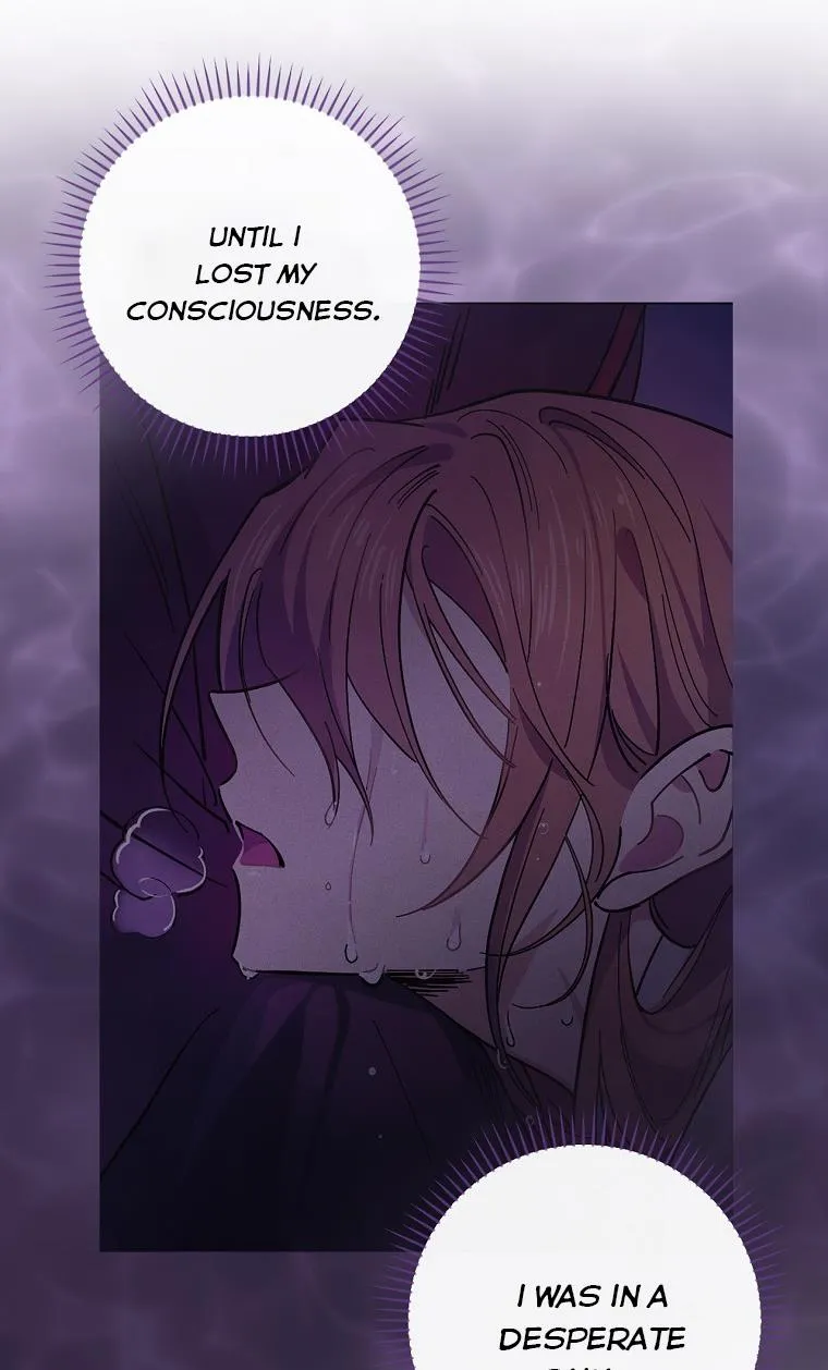 Melody of the Deadwood Chapter 7 Online - página 42