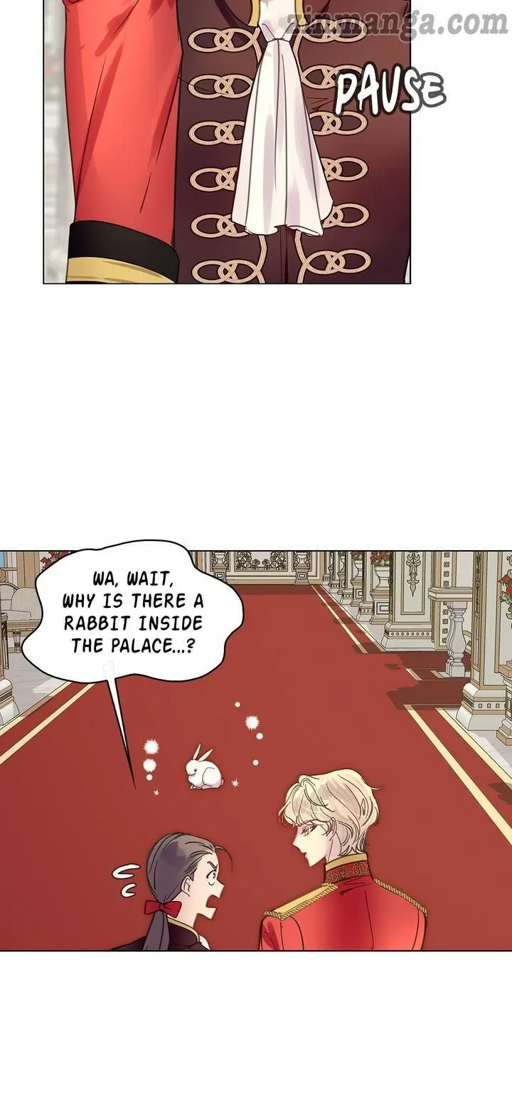 Miss Not-So Sidekick Chapter 167 Online - página 4
