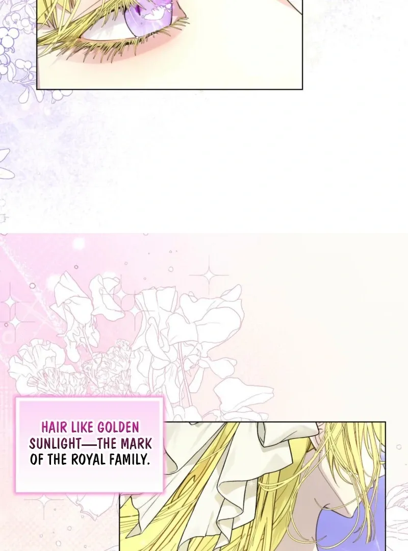 Miss Not-So Sidekick Chapter 185 Online - página 62