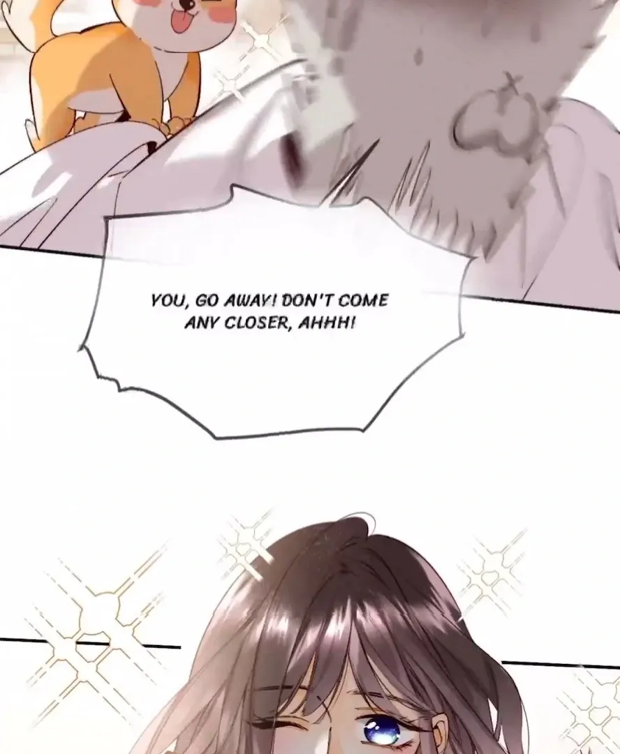 Mr Mo’s Secret Chapter 14 Online - página 17