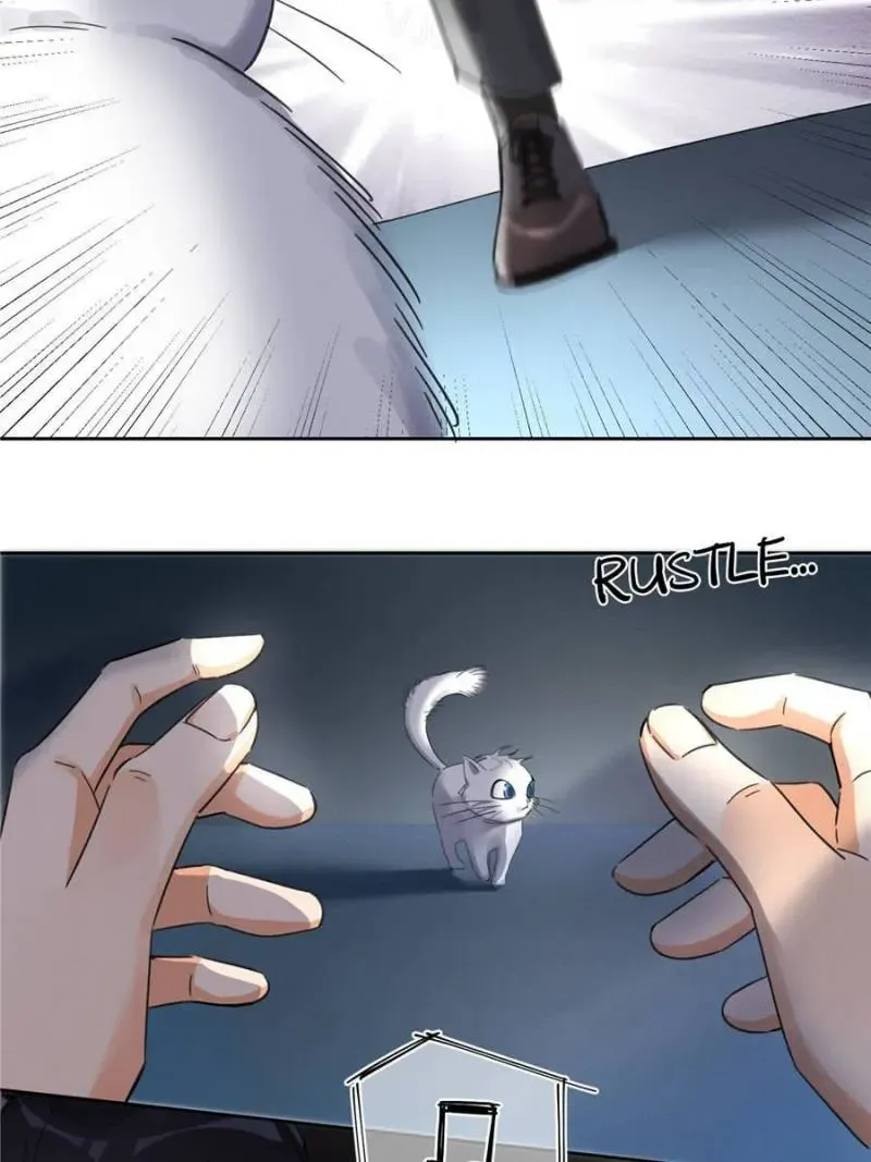 My Cat Lover Chapter 1 Online - página 46