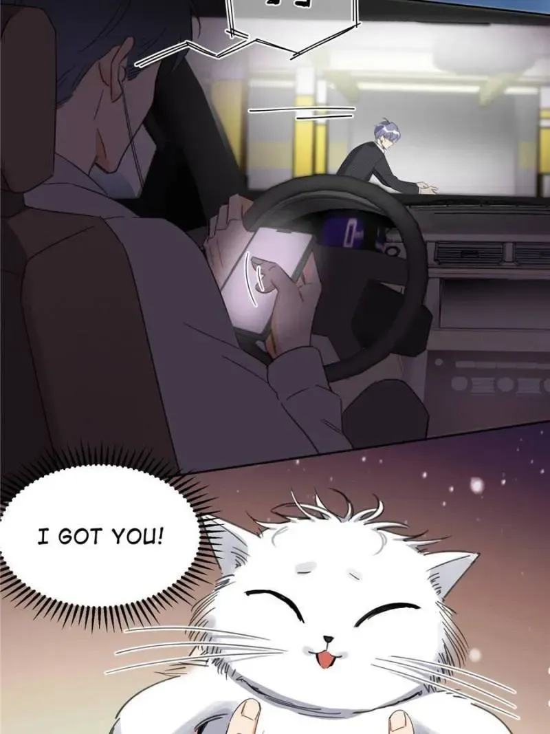 My Cat Lover Chapter 1 Online - página 47