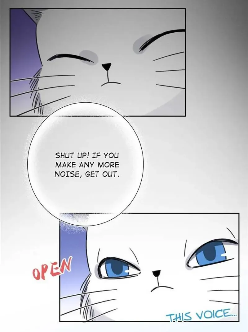 My Cat Lover Chapter 1 Online - página 57
