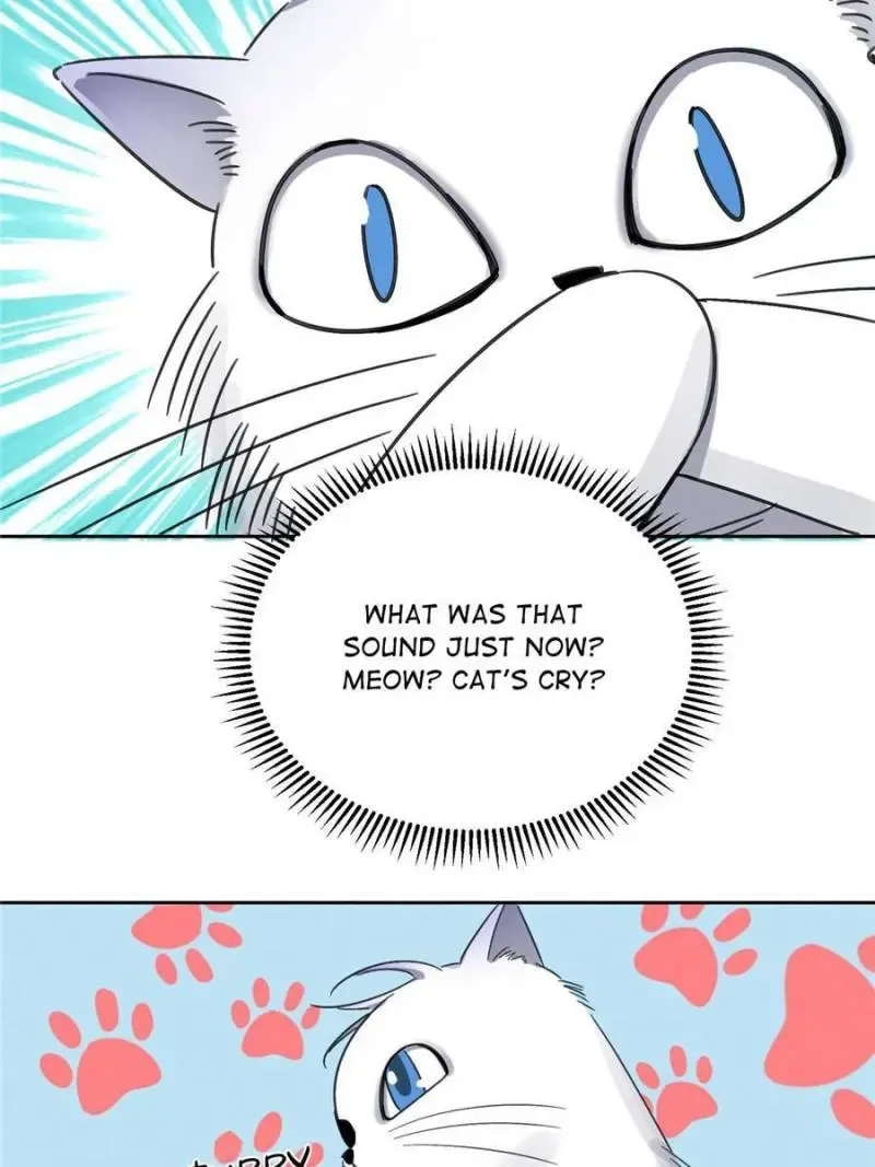 My Cat Lover Chapter 1 Online - página 60