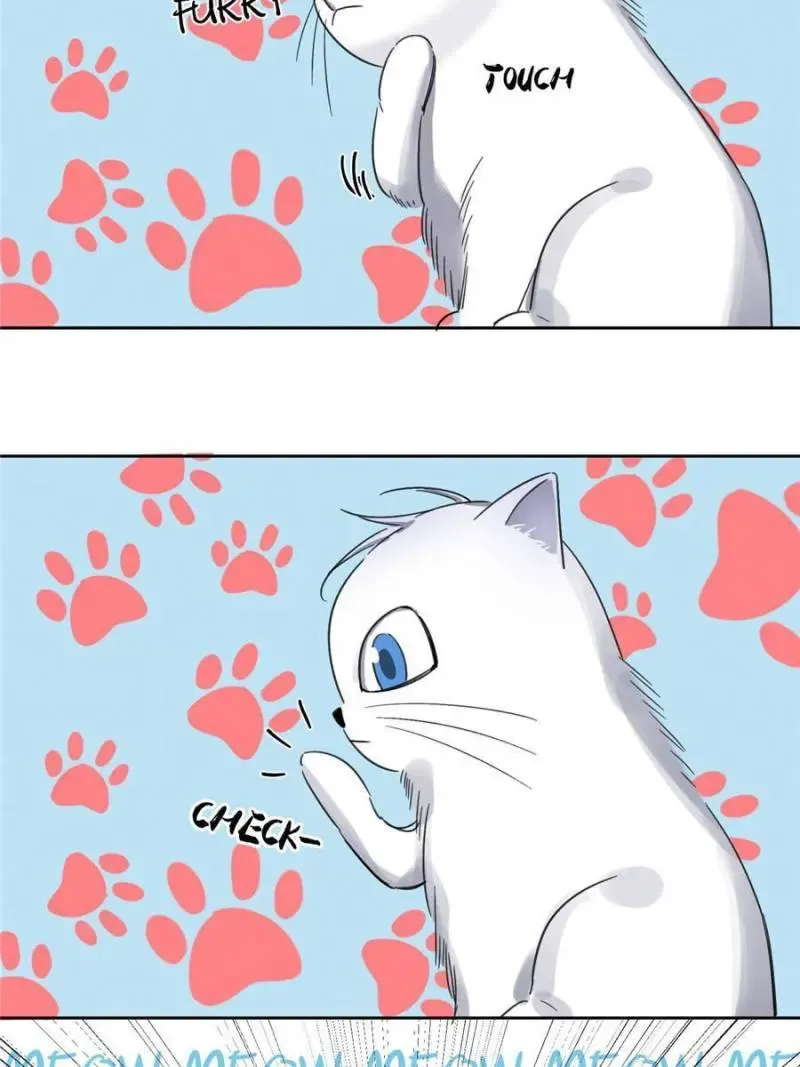 My Cat Lover Chapter 1 Online - página 61