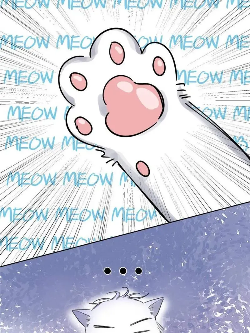 My Cat Lover Chapter 1 Online - página 62