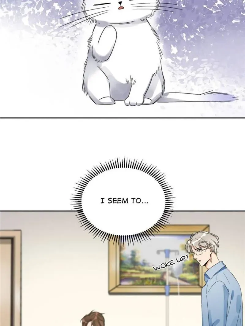 My Cat Lover Chapter 1 Online - página 63