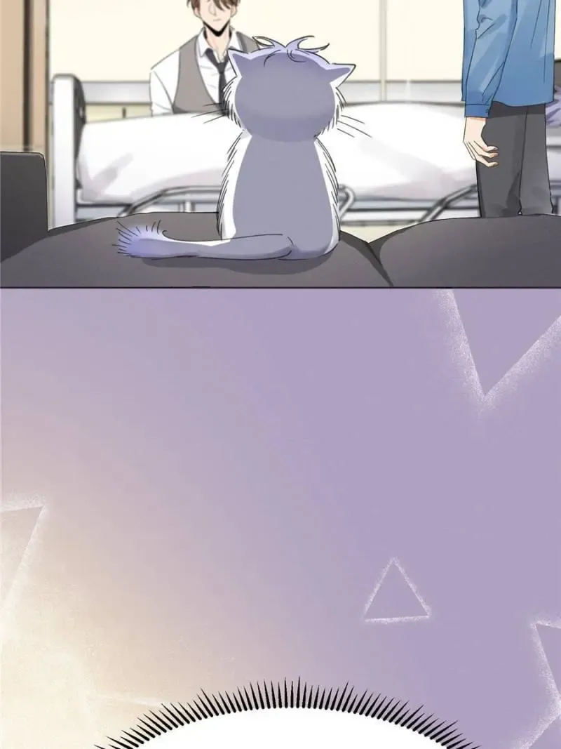My Cat Lover Chapter 1 Online - página 64