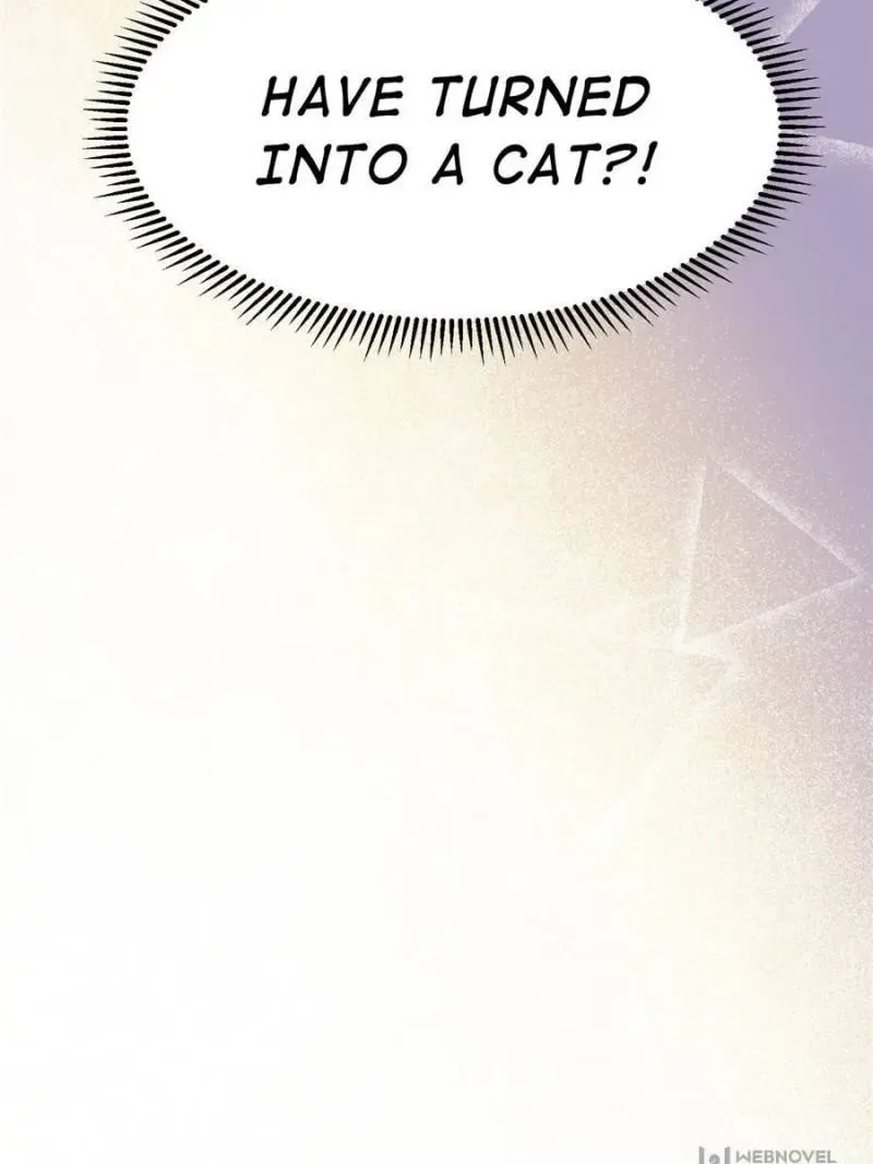 My Cat Lover Chapter 1 Online - página 65