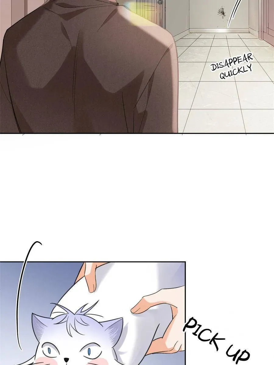 My Cat Lover Chapter 103 Online - página 48