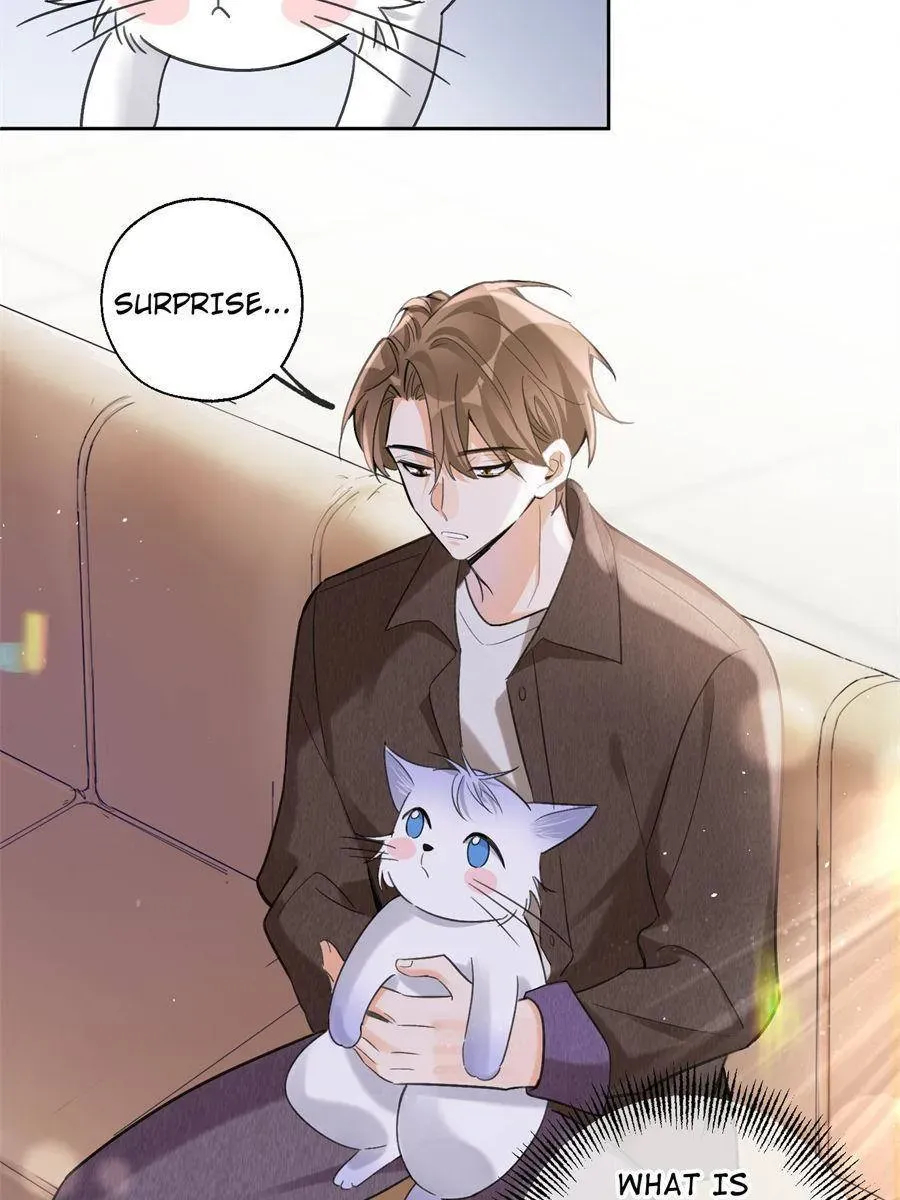My Cat Lover Chapter 103 Online - página 49