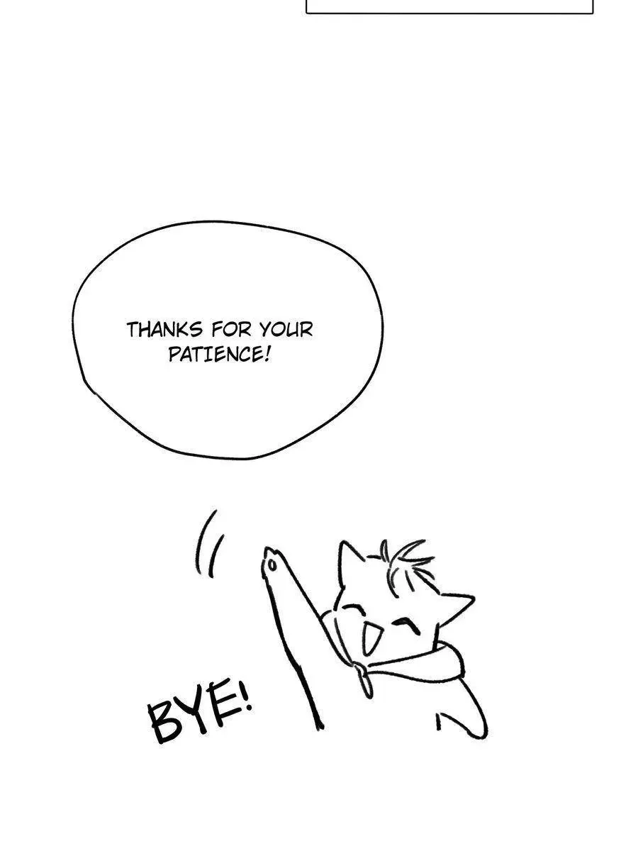 My Cat Lover Chapter 105 Online - página 10