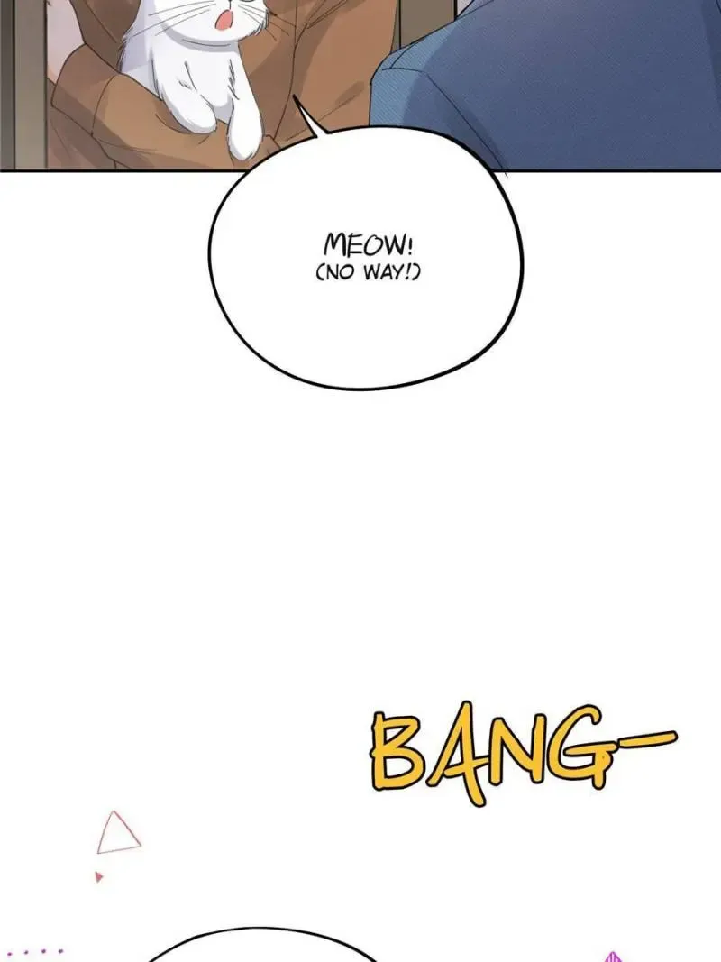 My Cat Lover Chapter 12 Online - página 11