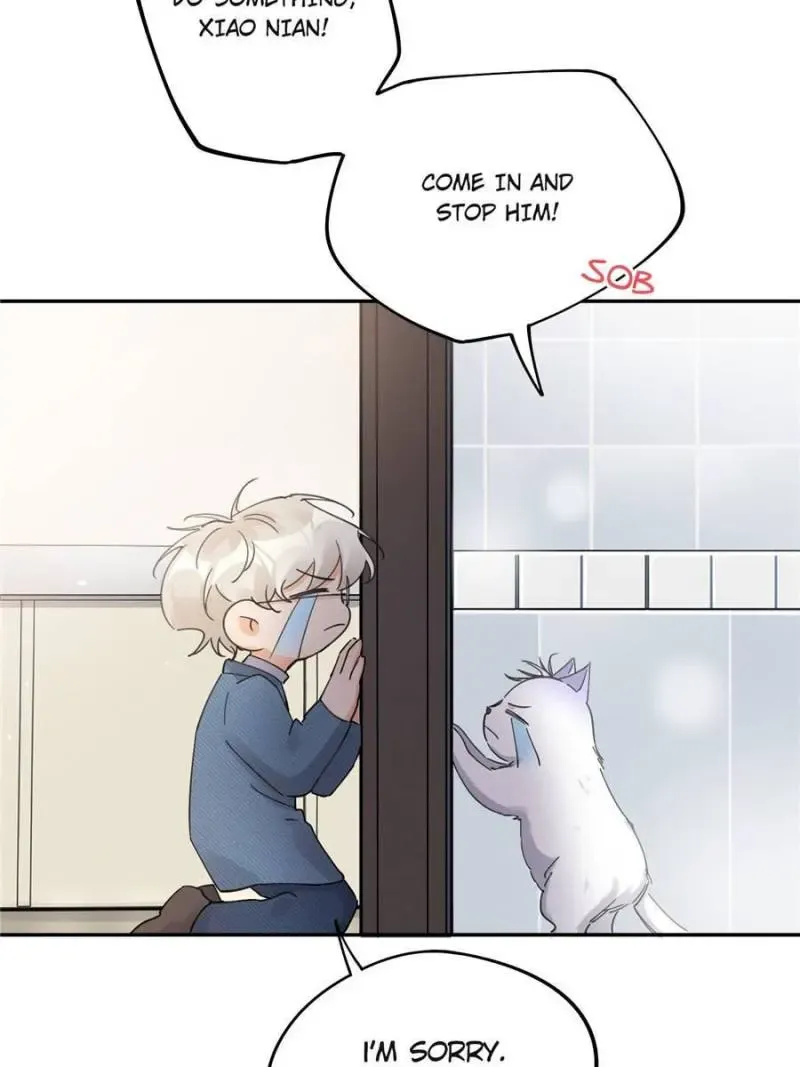 My Cat Lover Chapter 12 Online - página 13