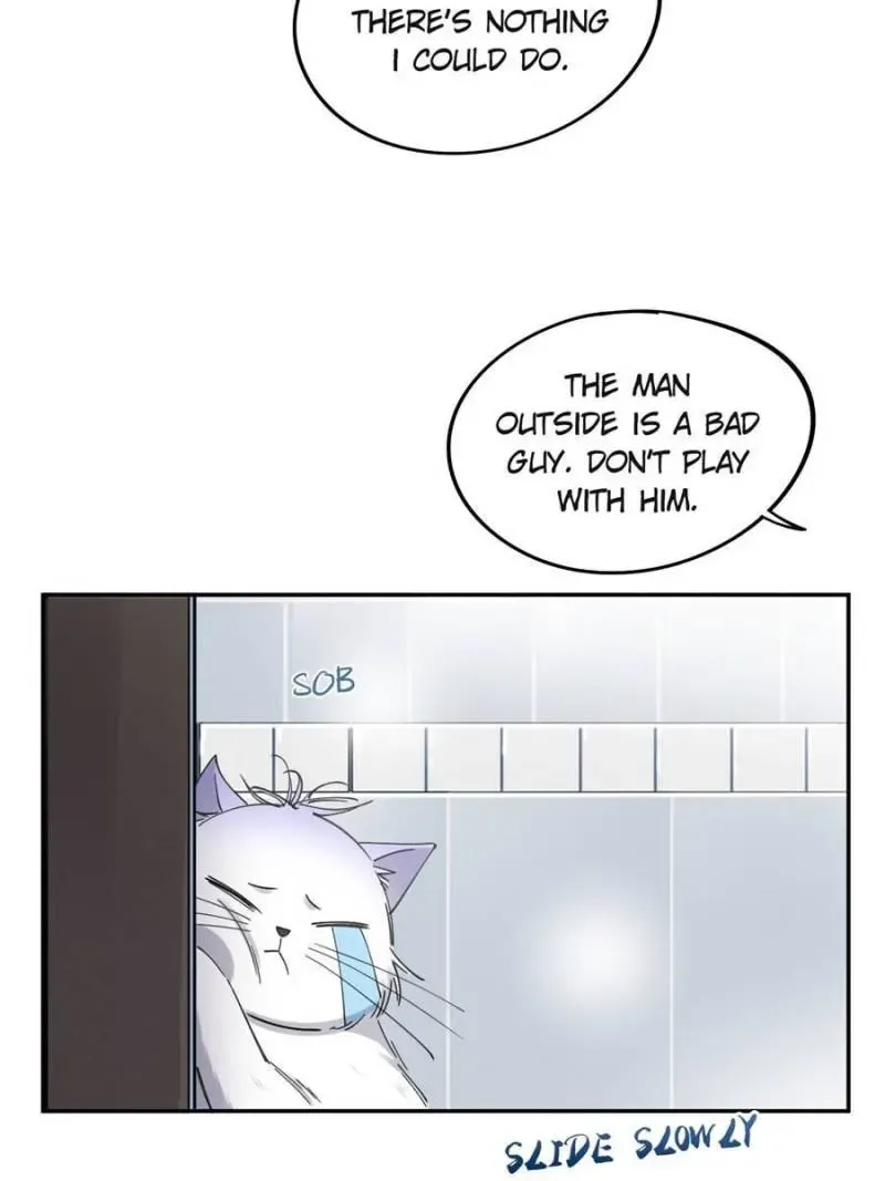 My Cat Lover Chapter 12 Online - página 14