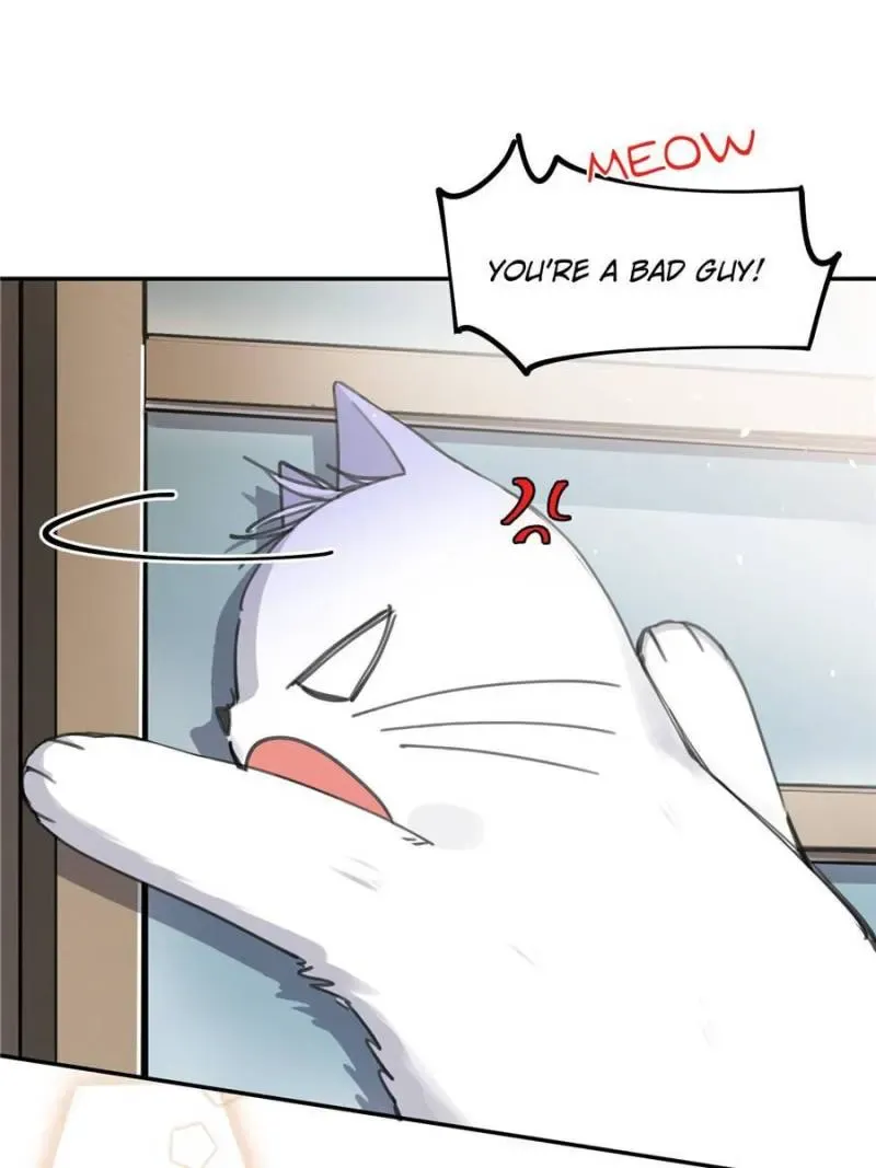 My Cat Lover Chapter 12 Online - página 16