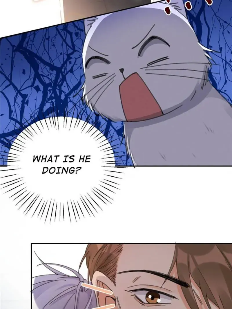 My Cat Lover Chapter 12 Online - página 18