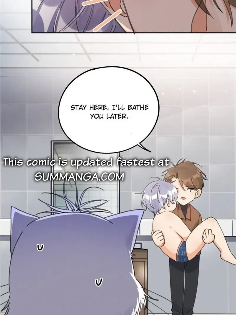 My Cat Lover Chapter 12 Online - página 19