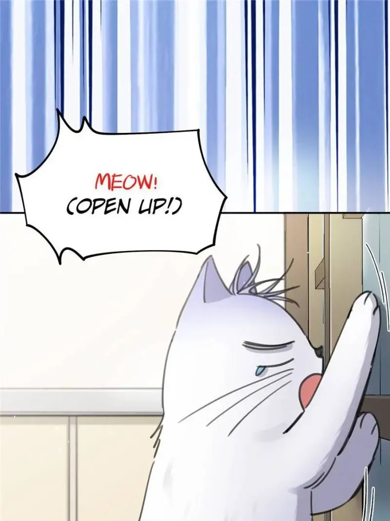 My Cat Lover Chapter 12 Online - página 22