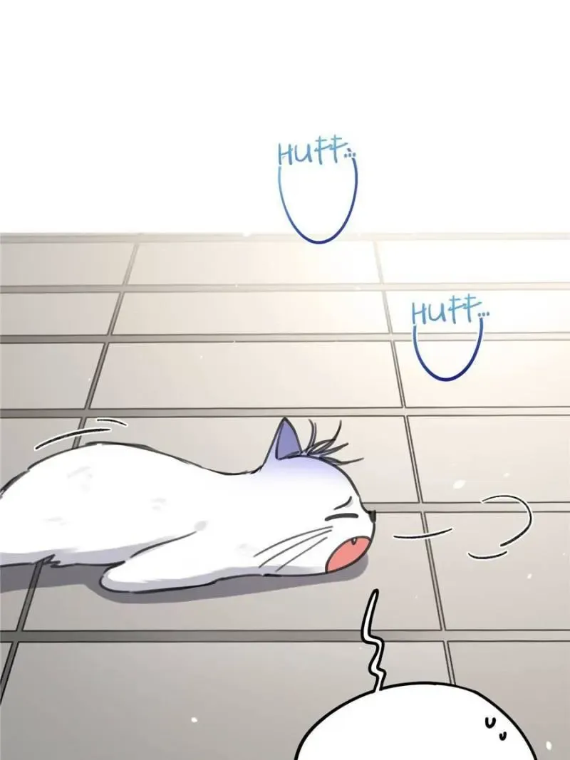 My Cat Lover Chapter 12 Online - página 24