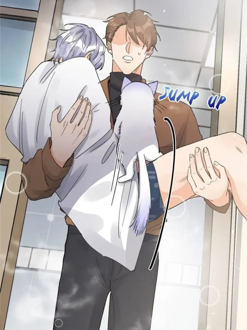 My Cat Lover Chapter 12 Online - página 27