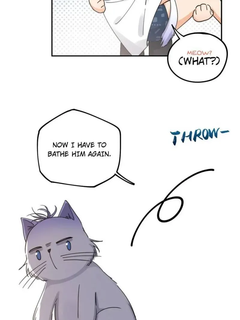 My Cat Lover Chapter 12 Online - página 32