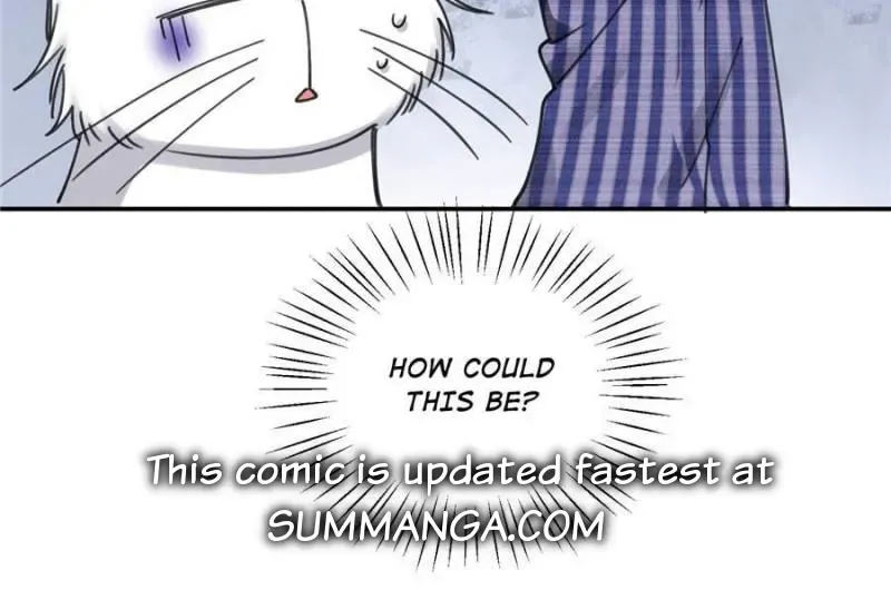 My Cat Lover Chapter 12 Online - página 34