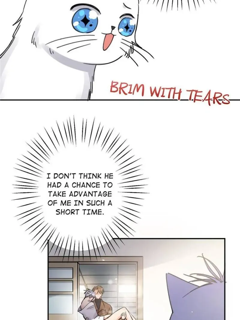 My Cat Lover Chapter 12 Online - página 36