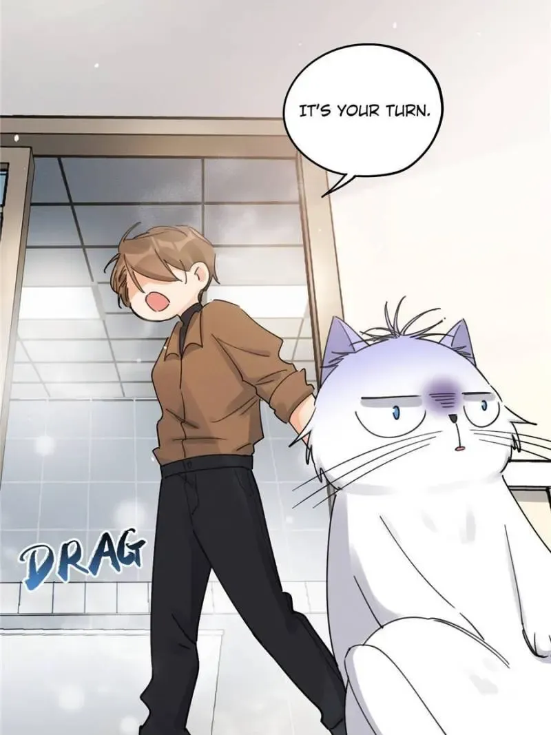My Cat Lover Chapter 12 Online - página 40