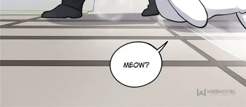 My Cat Lover Chapter 12 Online - página 41