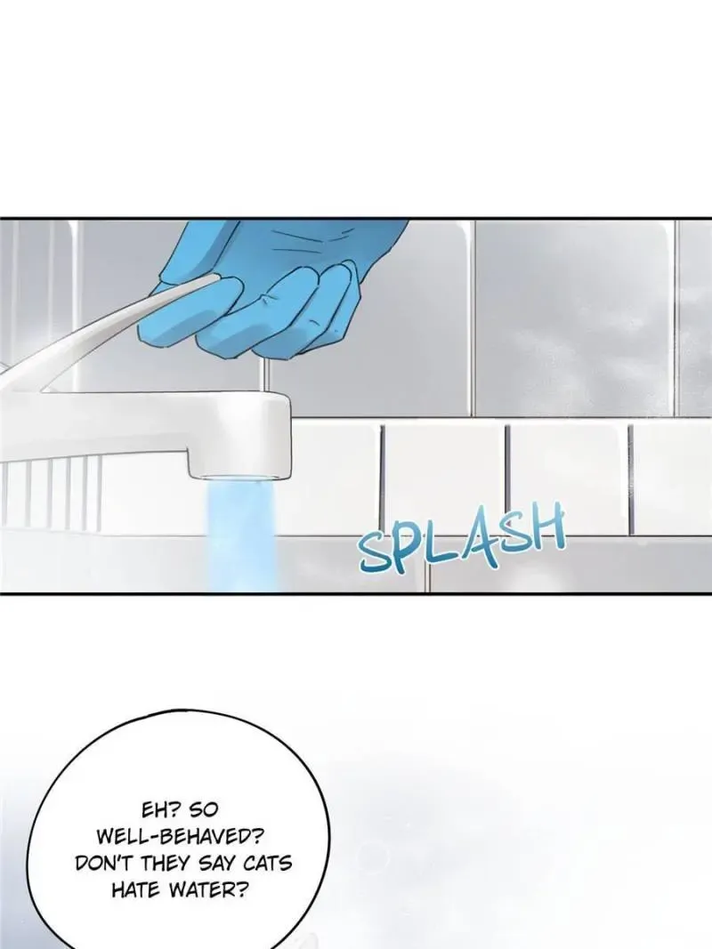 My Cat Lover Chapter 12 Online - página 42