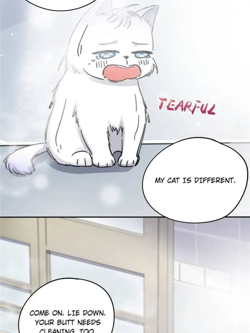 My Cat Lover Chapter 12 Online - página 43