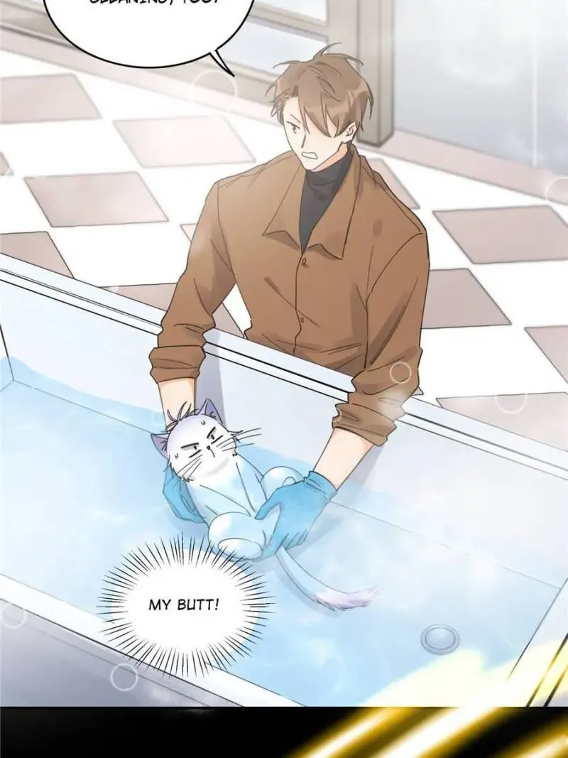 My Cat Lover Chapter 12 Online - página 44