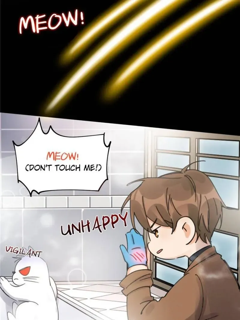 My Cat Lover Chapter 12 Online - página 45