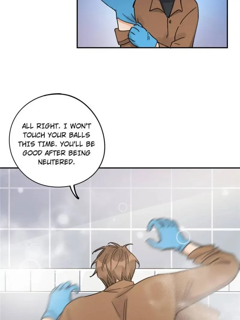 My Cat Lover Chapter 12 Online - página 47