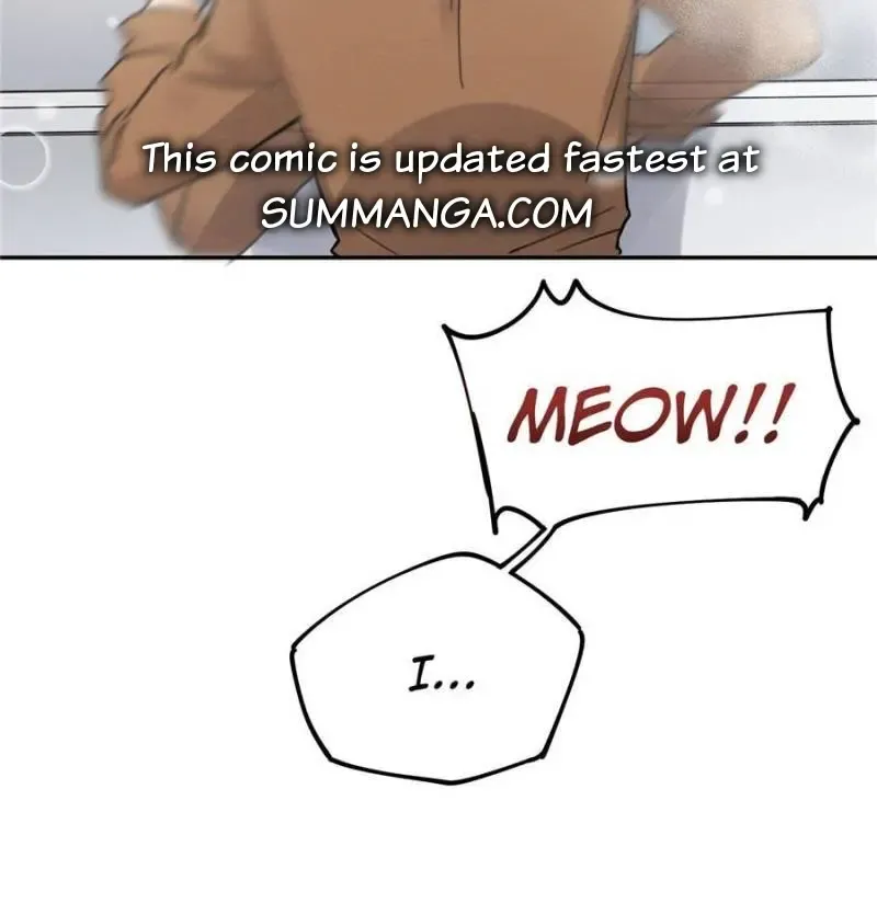 My Cat Lover Chapter 12 Online - página 48