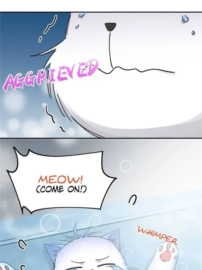 My Cat Lover Chapter 12 Online - página 49
