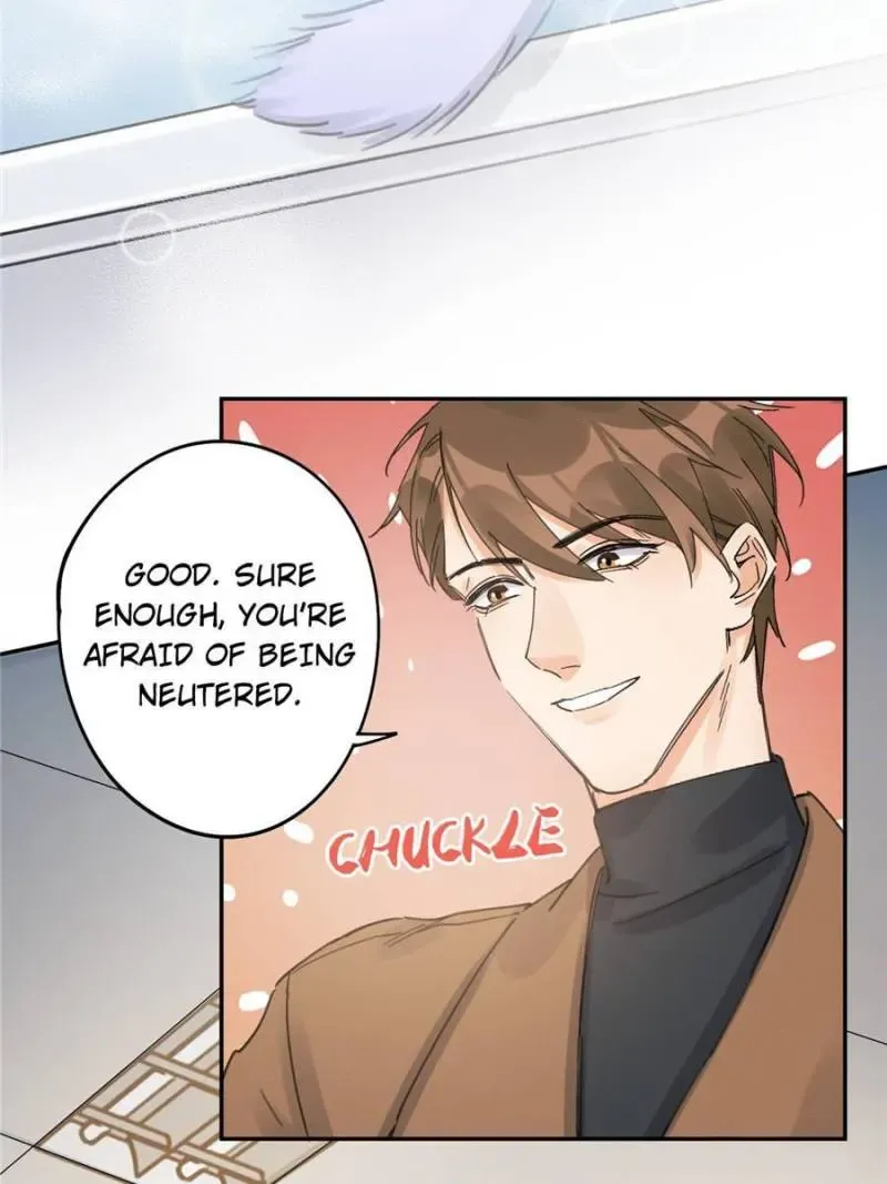 My Cat Lover Chapter 12 Online - página 51