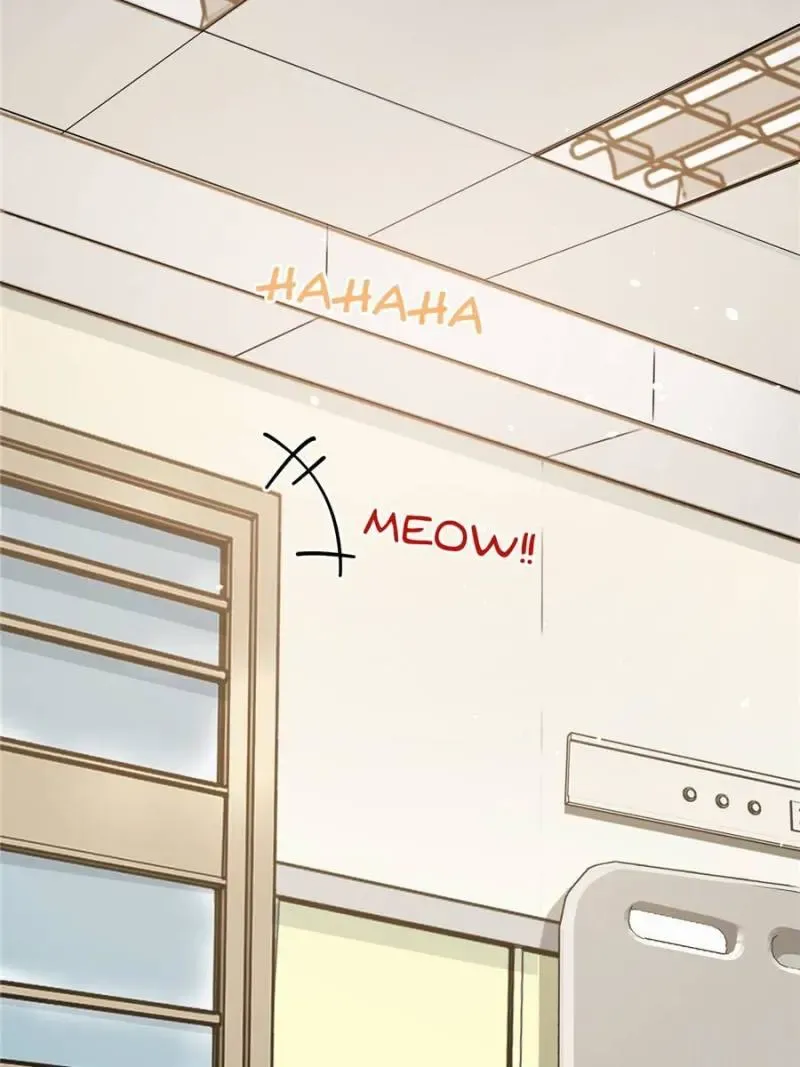 My Cat Lover Chapter 12 Online - página 52