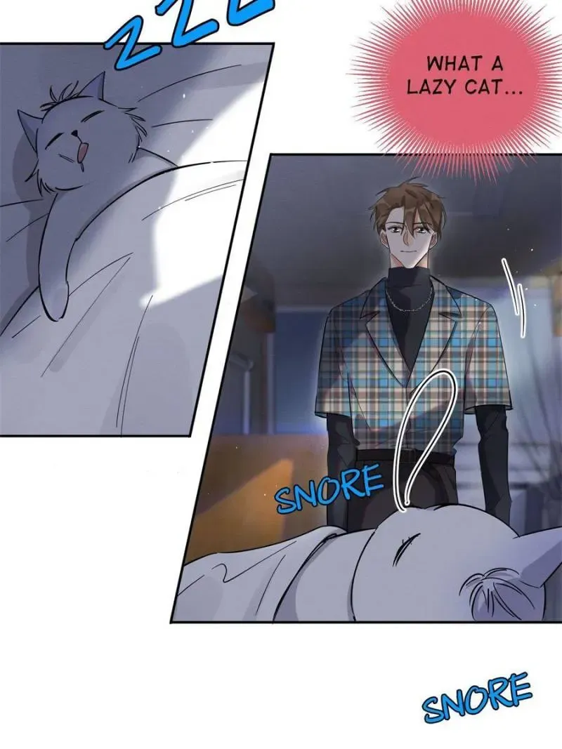 My Cat Lover Chapter 23 Online - página 11