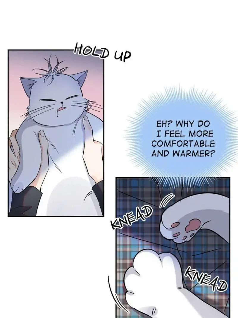 My Cat Lover Chapter 23 Online - página 13
