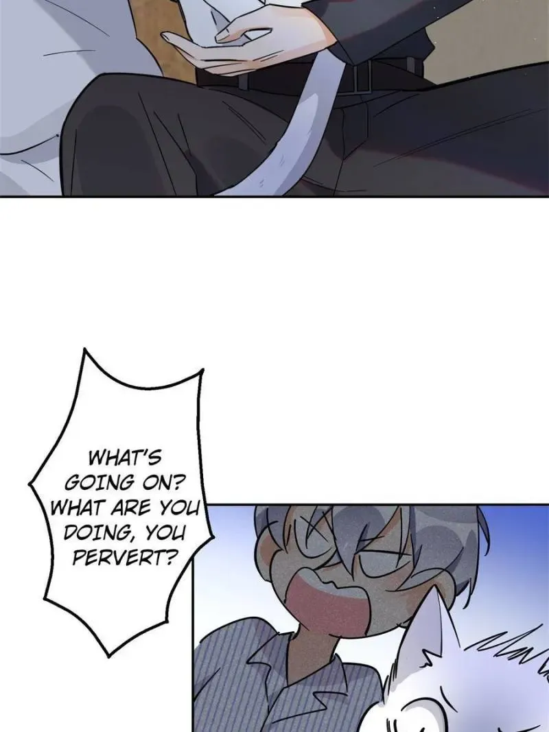 My Cat Lover Chapter 23 Online - página 17