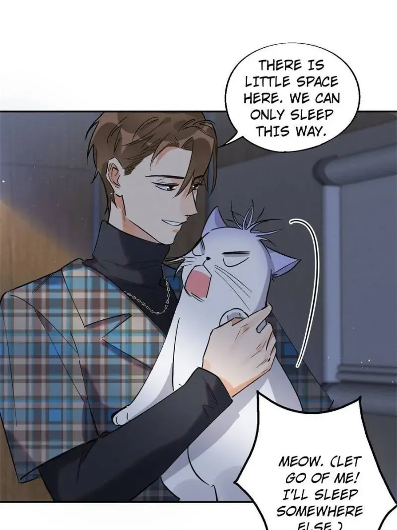 My Cat Lover Chapter 23 Online - página 19